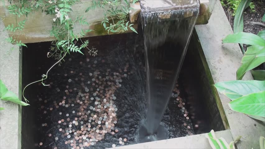 Pile of coins in Chicago Botanic Garden green house