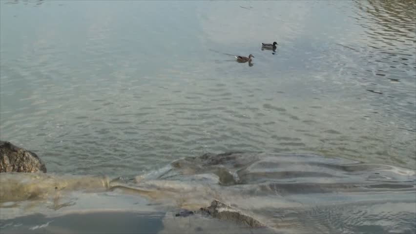 Artificial waterfall pours into lake in Chicago Botanic Garden.