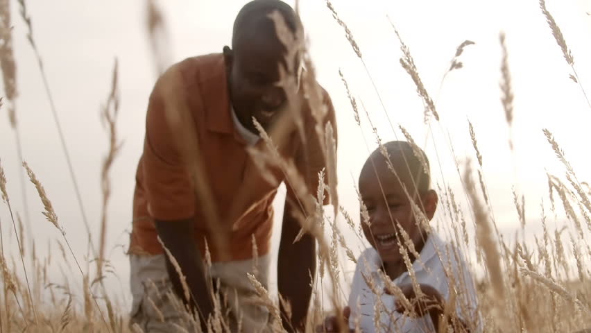 A father and son play in a wheat field on a sunny day.