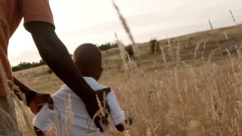 A father and son play in a wheat field on a sunny day. Stockvideo