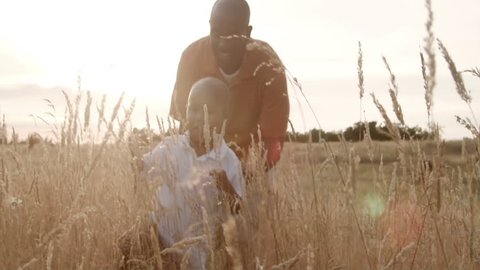 A father and son play in a wheat field on a sunny day.: film stockowy