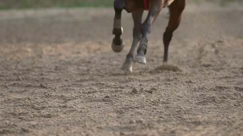 close up of the horse's hooves which quickly jumps during the race, slow motion fs700