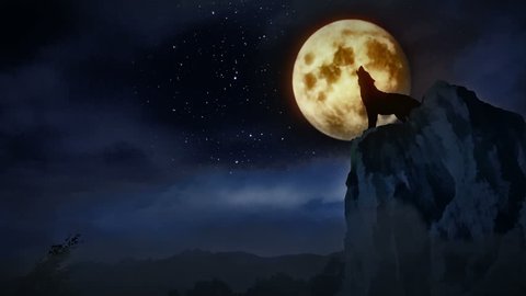 Wolf howling to the moon.