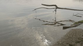 Tranquility natural scenery with branch stranded on beach 4K 2160p UHD footage - Branch over Danube river surface relaxing scene 4K 3840X2160 UHD video