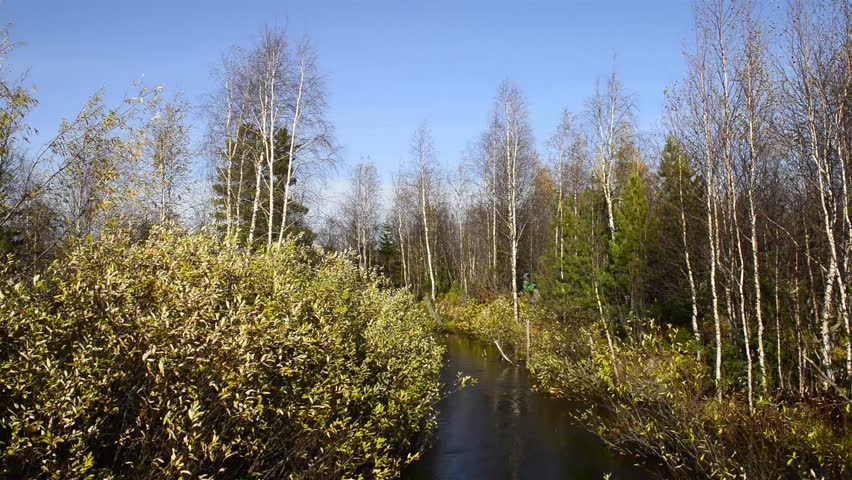 River in the Siberian taiga