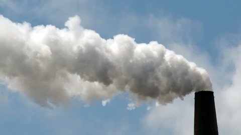 White smoke billows out of an industrial paper-mill stack day in and day out 