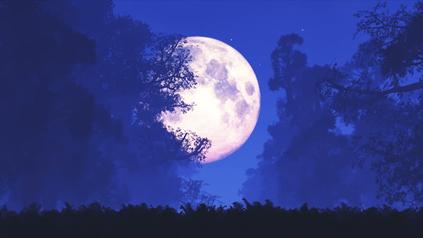 4K Mysterious Magic Forest at Night in the Moonlight 3D Animation with Smooth Camera Motion
4K 4096x2304 ultra high definition