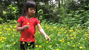 A cute little Asian girl wanders into a sea of yellow flowers in the forest to pick a pretty bouquet.