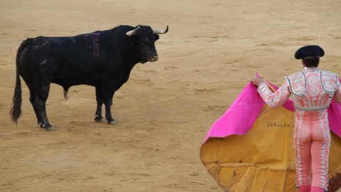 La Linea de la Concepcion, Spain - 19 July 2013: Spanish picador on horse and bullfighter in action during traditional bullfighting in Spain.