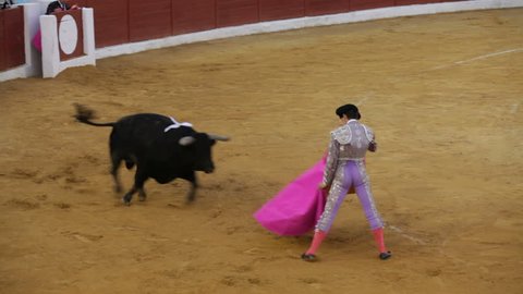 La Linea de la Concepcion, Spain - 19 July 2013: Traditional Spanish bullfighting.
