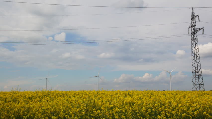 Alternative energy on yellow flower field,time lapse