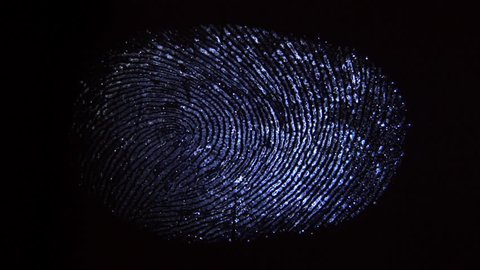 A ray of light finds fingerprints. Crime scene investigation