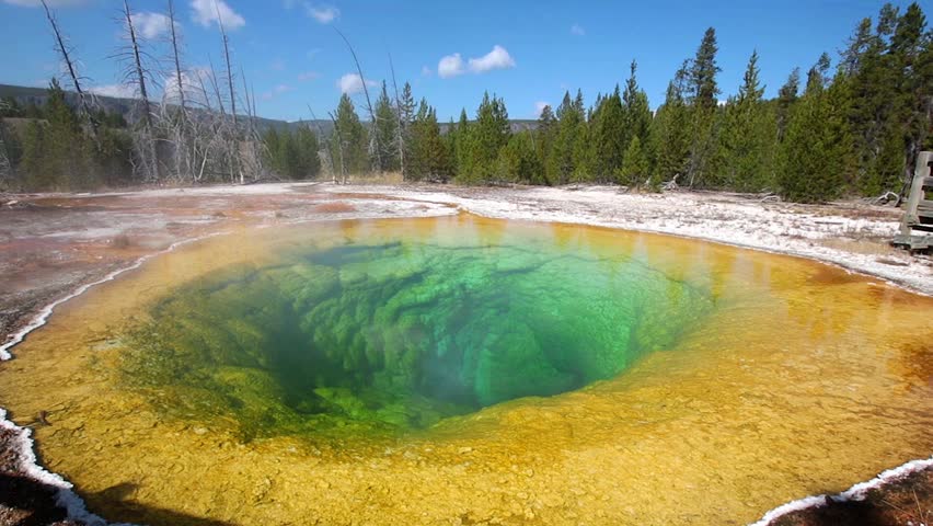 Morning Glory Pool in Yellowstone National Park of Wyoming 