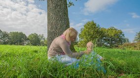 Lower angle footage of young mother feeding a baby. Lower angle slow motion RAW shoot of a mother who is feeding a small cute baby in the grass under the tree on beautiful sunny day.