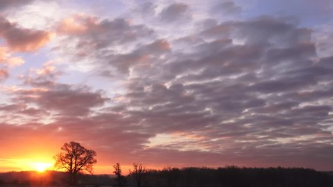 sunrise red sky clouds rural oak forest horizon morning time lapse - England: December 2014 -  02666698 