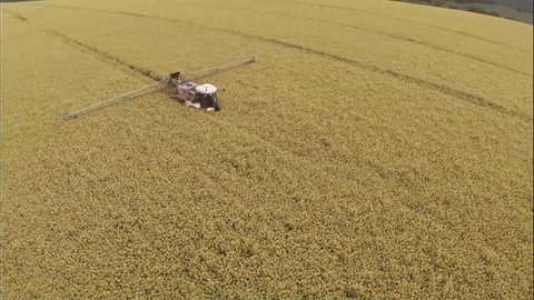 Aerial shot of a tractor in field spraying rapeseed revealing shot