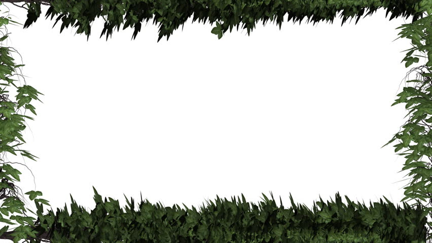 Ivy vines from a border around the screen. Comes with Alpha Matte.