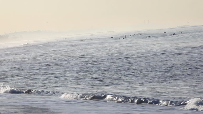 Surfer waiting in the water for the perfect surf, Santa Monica Beach, Los