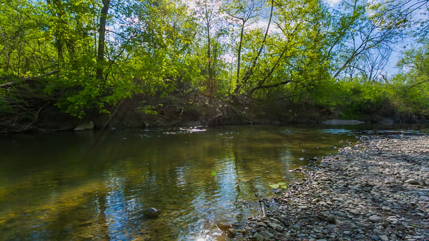 river flows park spring Stock Footage Video (100% Royalty-free) 8396656 ...