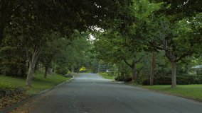 Driving plate: rear view, upscale 1950s-era homes in an affluent Mid West US neighborhood.  Intended for compositing.  24mm lens, stabilized clip, slow speed, low sun, recorded in 4K, UHD