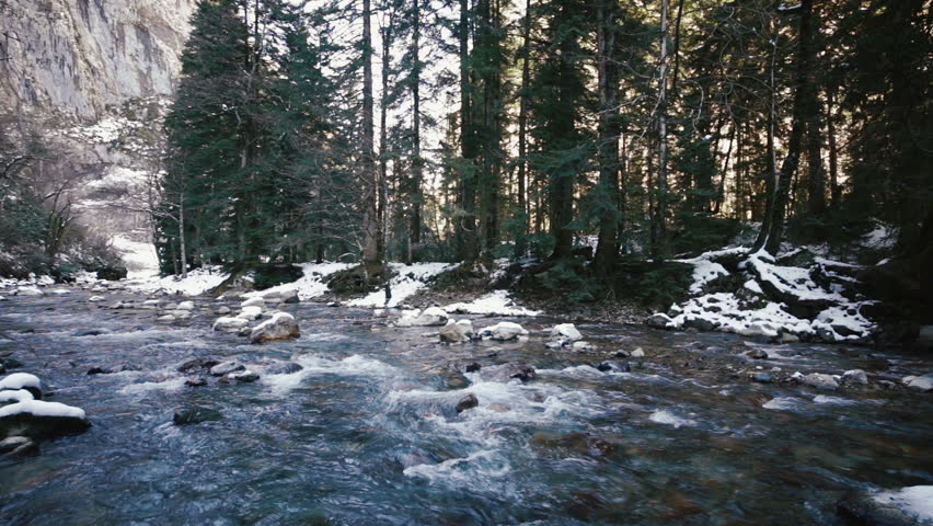 Mountain River in Snow Forest