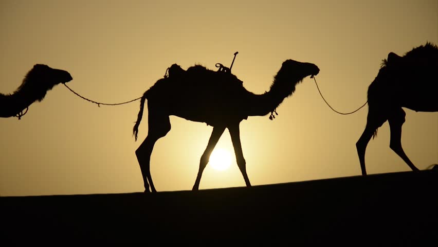 Man Walking Desert Video Stock Footage