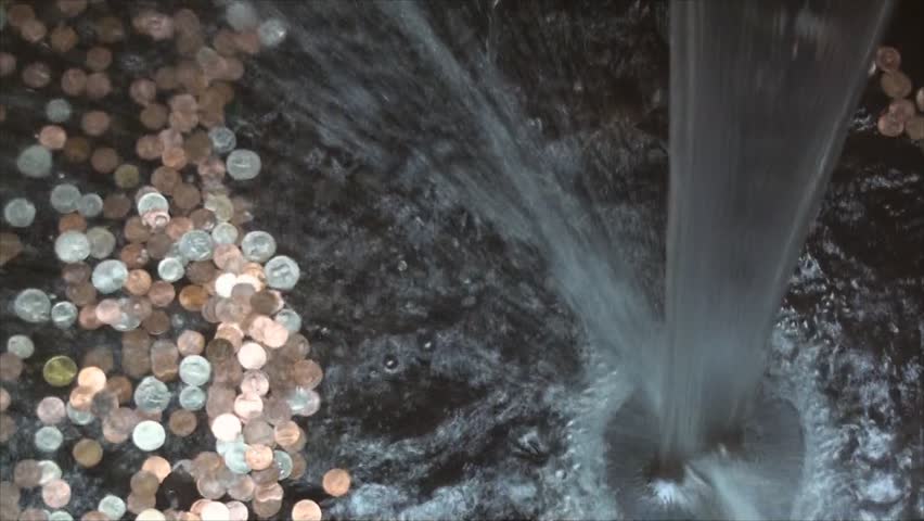Pile of coins in Chicago Botanic Garden green house