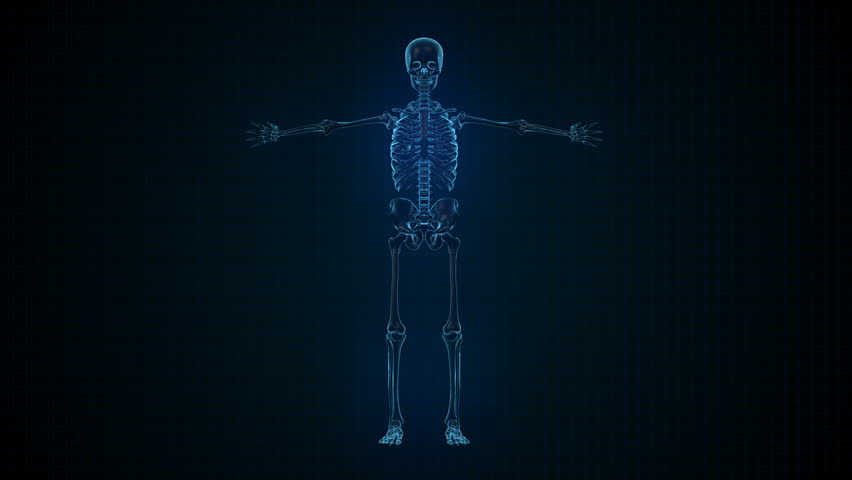 3d Animation Human Skeleton X Ray Blue Stock Footage Video 100