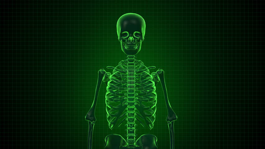 Human Skeleton Sci Fi Green Interface Loop Stock Footage Video 100