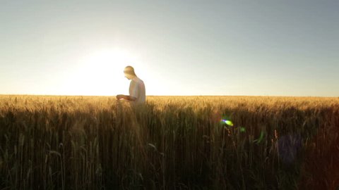 farmer in huge wheat field at sunshine  Stock Video