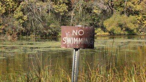 No swimming sign at small lake in autumn.
