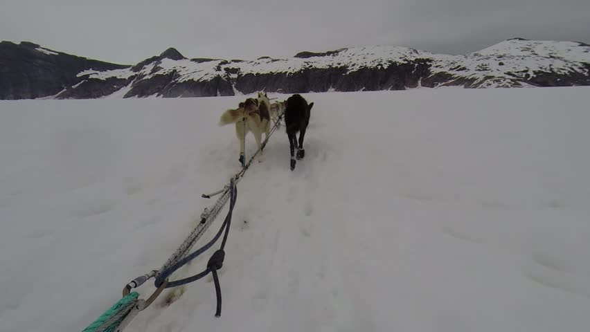 Rear view of dogs, mostly huskies and malamutes, pulling a sled on glacier between mountain in the polar region