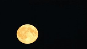 Tele shot of the supermoon
