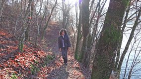 4k Hiker walking in forest. Hiking female trekking through forest nature. steadycam uhd stock video