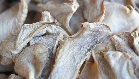 dried fish in the packaging market