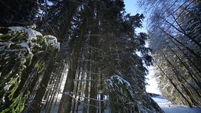 Nice Video footage of a Winter Landscape With Snow and Sun