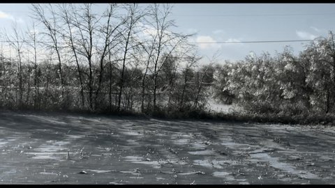 Winter Forest Near Ottawa. Hand-held cam.