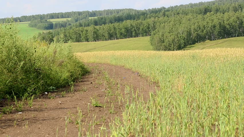 Walk on Bicycles, 
Man and woman ride bicycles on a country road 