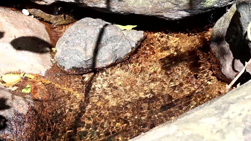 small cascade with sound in forest, Thailand 