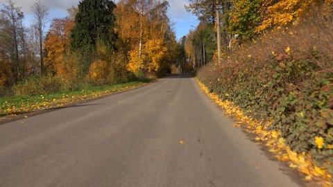 Autumn forest. Travel by car on the road in the fall. Shot in 4K (ultra-high definition (UHD)), so you can easily crop, rotate and zoom, without losing quality! Real time.