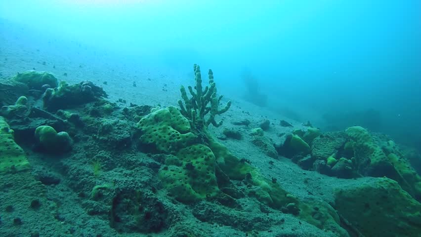 Дно байкала фото без воды