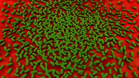 Superbug spreading simulation. A microscopic artistic rendition 