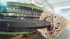 Cane processing factory for the manufacture of insulating materials, Factory cane, Video clip