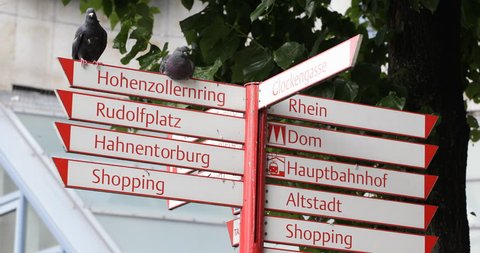 Crossroad Street Sign Indicator Sightseeing Places Route Arrow Cologne Pigeons ( Ultra High Definition, UltraHD, Ultra HD, UHD, 4K, 2160P, 4096x2160 )