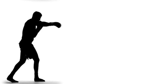 Boxing Silhouette (slow motion)