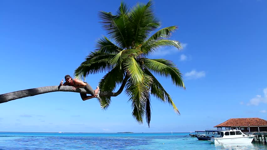 Handsome man on a palm tree