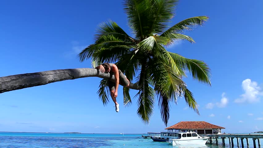 Handsome man is sleeping on a palm tree