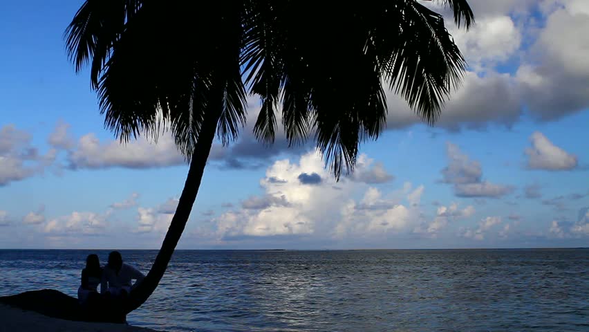 Romantic couple sitting next to palm tree