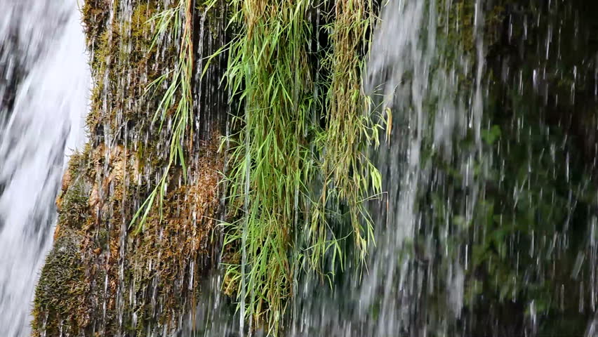 peaceful fresh water in the beautiful waterfall