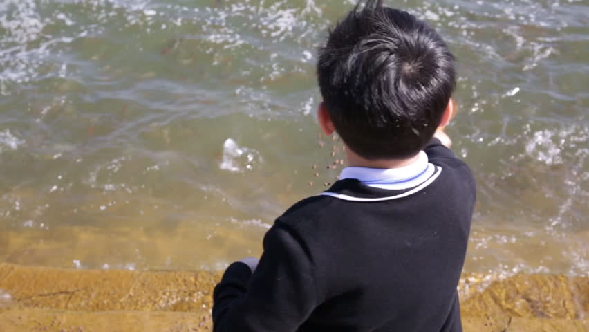 Asian child give alms food for fish around the river, fight over for the feed throw from people 